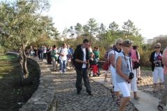 20141004_1844819183_img_6474