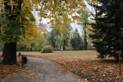 1_wycieczka_do_acuta_112_20081207_1341181992