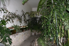 wycieczka_do_acuta_112_20081207_1304983602