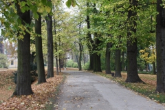 wycieczka_do_acuta_112_20081207_1442887767