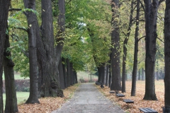 wycieczka_do_acuta_112_20081207_1606535078