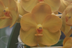 wycieczka_do_acuta_112_20081207_1852379967