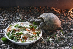 wycieczka_do_acuta_112_20081207_1864884445