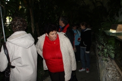 wycieczka_do_acuta_112_20081207_2028766993