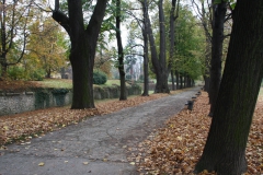 wycieczka_do_acuta_112_20081207_2034463848