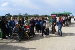 20101022_1085200284_obraz_104